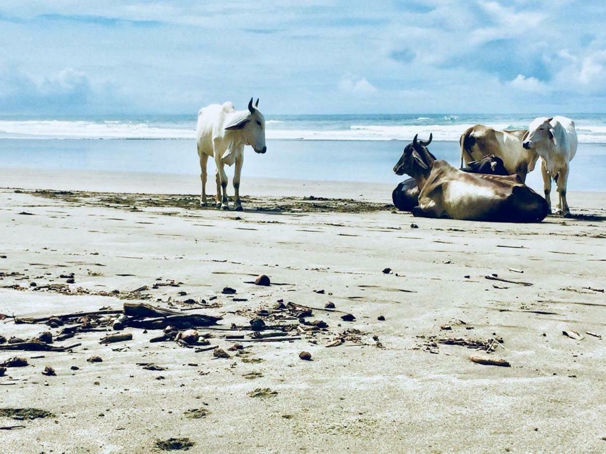 فندق Rancho Coral استريلوس المظهر الخارجي الصورة